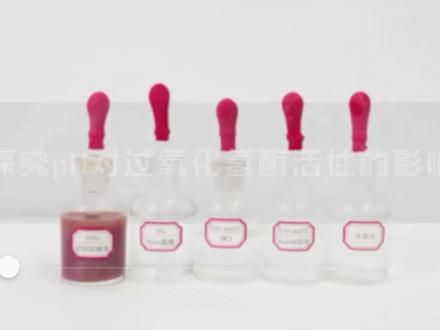 #高考#高中生物#探究PH对淀粉酶活性的影响