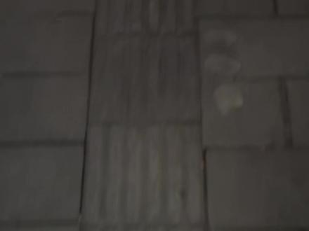 感谢理想延期交付
没车开可以徒步了