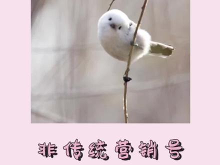 传下去 麦香鸡呢在晋江登基了 #小说 #麦香鸡呢 #囚于永夜 #搞笑 #晋江