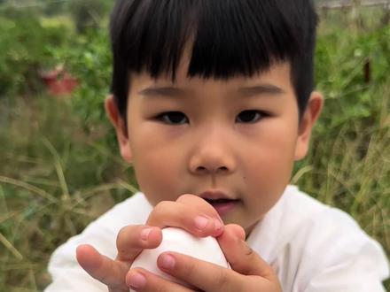 将树叶🍃和小花🌸压进黏士里 #黏土手工