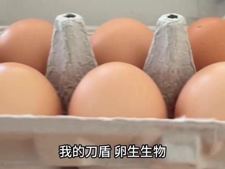 我的刀盾科普计划 #我的刀盾 #一代人有一代人的动物世界 #神奇动物在抖音 #ai创作浪潮计划 #万物可爱计划 @DOU+小助手