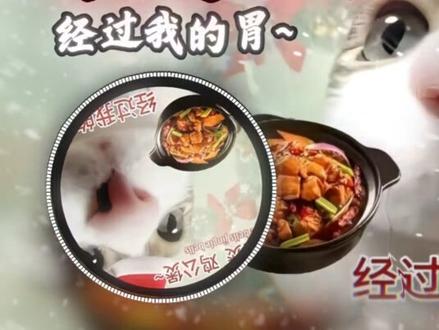 《鸡公煲鸡公煲经过我的胃》#音乐#魔性音乐 #魔性