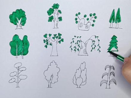 12种树的简笔画,美术作业里的万能点缀。#一起学画画 #少儿美术 #简笔画 #一分钟学画画