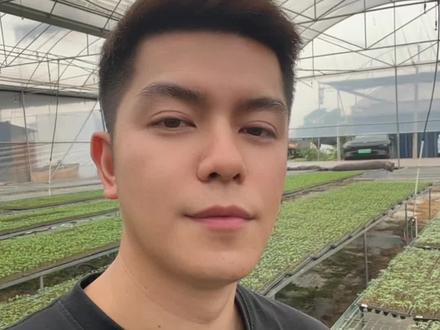 坚守初心只做对版 谢谢李奇奇推荐,对版是初心,是尊重#香芒皇后#小番茄#香芒皇后番茄#农业小秋#李奇奇