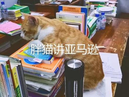 电池和电池驱动商品豁免表危险品申报填写