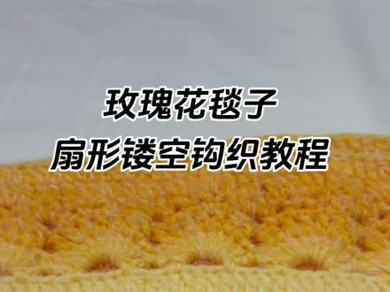 姐妹们,你们要的玫瑰花毯子扇形镂空钩织教程来啦~#是毯子也是花束 #玫瑰花毯子 #钩织教程 #手工钩织教程
