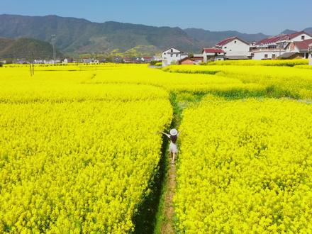 龙抬头当然要剪个新发型啦~#龙抬头发型我先炫 #龙抬头美龙美发 #打卡宝藏生活 #超值洗剪吹