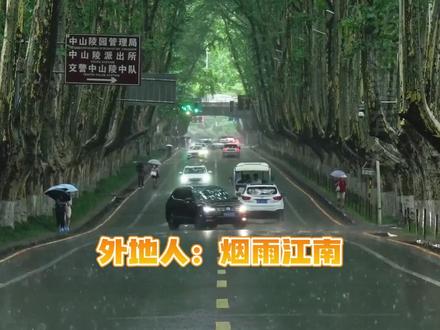 好一个烟雨江南,南京这氛围感觉了 #南京 #梅雨季 #湿气