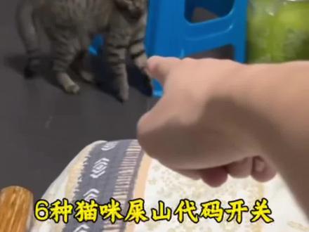 一口气带你了解猫咪隐藏屎山代码#科普#猫咪#底层代码