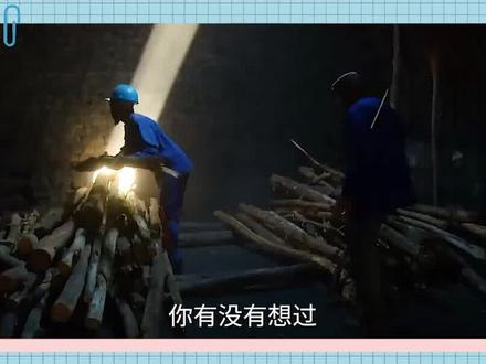 木材直接烧着用多方便,为什么还要烧制成木炭?看完你就懂了! #污染 #木炭