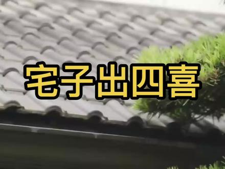 宅子出四喜家中出贵人,是哪四喜你知道吗?#中式#中式建筑#中式别墅