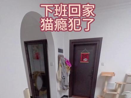 瓜瓜:放我下来!我生气了!喵~#猫猫生气 #猫咪对话 #猫咪的日常