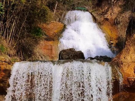 鲸鱼沟在白鹿原的中部,传说女娲补天时,天水倾而直下,人间皆成汪洋。东海里的一对大鲸鱼,分别驮着七十七个男女,整整游了八十一天,当游到长安东郊的白鹿原时,女娲终于炼石将天补住。洪水退去,鲸鱼驮着的人们便就地安家落户。可鲸鱼却无法游回大海,日复一日,鲸鱼身上的泥土也越积越厚。一日,皇上下旨,要在白鹿原上建一座城,情急之下,这对鲸鱼腾跃而起,雄鲸鱼向东冲进灞河,雌鲸鱼向西游入浐河。鲸鱼多年深陷之处,呈鱼状深沟,人们便称之为“鲸鱼沟”。
鲸鱼沟是顺白鹿原走向发育的“v”字形深切沟谷--荆峪沟,讹称鲸鱼沟。荆峪沟是在坡面流水的侵浊下形成的大冲沟壑,长30公里,上游下切深度为80-100米,下游(沟口)逐渐增加深达210米。有沟就有水,荆峪沟河,古名长水,源头在蓝田县城以南8公里的将帅圪塔(荆山)。源头一带地形开阔有多股泉水涌出,是荆水的发源地。沟内终年流水不断。上游两条支流汇合处叫“鹿走沟”,鹿走沟以下称荆峪沟。荆峪沟水流入浐河,成为浐河东岸最大的一条支流。
荆峪沟坡陡路窄,人迹罕至,景观自然,风貌原始。沟内植被茂盛,林木葱郁;水源丰富,溪流曲折;悬幔壮观,飞珠溅玉。山花遍野之际,浓荫蔽天之时,红叶烂漫之月,银装素裹之日,险远之境,美不胜收。有了荆峪沟,白鹿原上有了一道草木茂密、风光秀丽、溪水长流、鸟鸣鱼欢的水泽地带。“白鹿原上听鹿鸣,鲸鱼沟畔观鱼跃”,人们在沟里摸鱼捕蟹、植苇种稻、储水罐田、消暑纳凉,有着与黄土高原迥异的生活。#鲸鱼沟竹海风景区 #春天的第一场旅行 #这是属于春天的氛围感 #又是一年春游野炊好时节