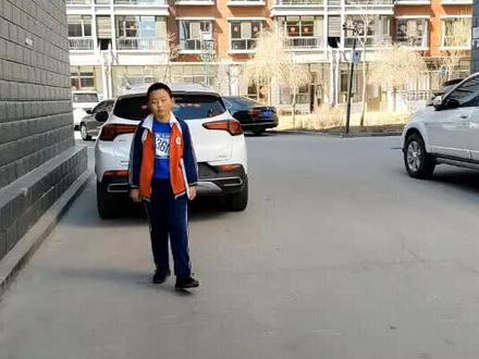 思维导图讲解红楼梦人物关系#创作灵感 #红楼梦 #思维导图