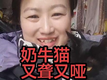 哈哈哈奶牛猫你是聋子吗#流浪猫日常 #猫咪迷惑行为大赏 #猫咪迷惑行为 #萌宠出道计划 #奶牛猫就是神经猫 @DOU+小助手 @抖音小助手