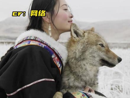 大年三十《重返狼群》官宣重映,完结的故事又有了新的开始#李微漪#重返狼群#格林#电影重返狼群春节重映#亦风