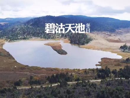 冬日的香格里拉 高山之顶远离纷扰的碧沽天池#香格里拉 #旅行推荐官 #旅行 #航拍
