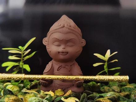 把悟空请进缸里了,你知不知道,鱼缸里放摆件要注意些什么?