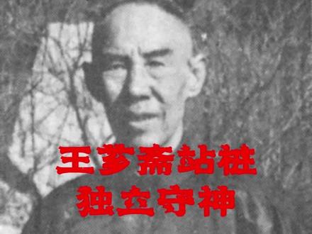 王芗斋论站桩“独立守神”,最经典的站桩诠释#站桩 #独立守神 #王芗斋