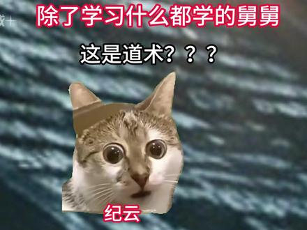 除了学习什么都学的舅舅!!第十二集全!! #猫meme #诡异 #虚构演绎仅供娱乐