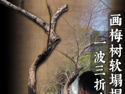 把一波三折当波浪线,怪不得梅树没骨气 #国画 #山水画 #传统文化 #艺术 #美院