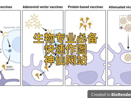又是一期绘图网站分享~今天分享的是Biorender,适用于生物专业,比起figdraw来功能更多、素材更多、设置起来更精巧,有14天的免费试用期,可以根据自己的需求选择~#研究生 #科研狗的日常 #sci