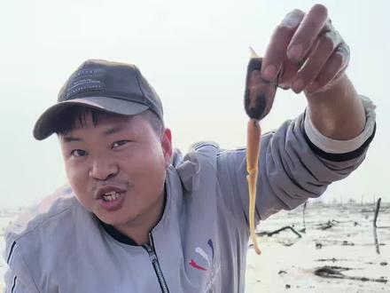 #户外赶海抓海鲜 #渔民生活实拍 #原创视频 #新农人计划 #感谢大海的馈赠 今天又来赶海了
