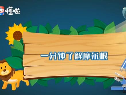 一分钟了解摩尔根#高中生物 #必修二#科学家 #遗传学 #科普