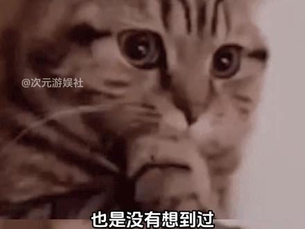 狯岳人气这么高啊!!!#鬼灭之刃#狯岳#动漫#二次元