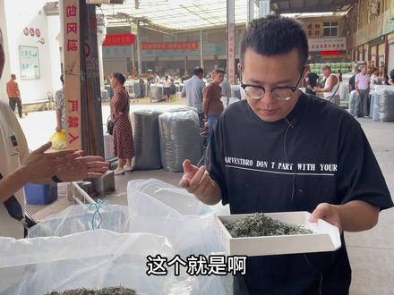 全国最大绿茶批发市场,大鹏收下320斤碧螺春,这性价比是真的高#茶叶 #绿茶 #碧螺春 #口粮茶 #爱喝茶的关注我