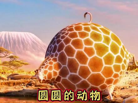 你肯定没见过圆滚滚的动物世界#经典动画短片推荐