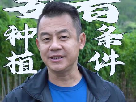 潮汕是盛产姜薯的地方!#潮汕 #特色美食 #知识分享