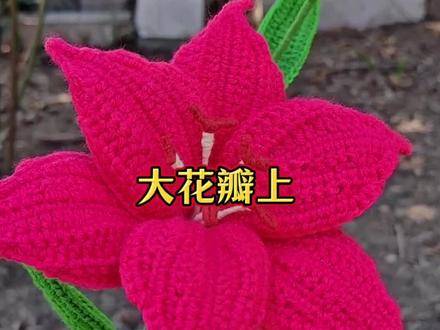 单瓣百合花钩织教程!#毛线编织教程 #手工编织零基础教学 #钩织 #钩针教程