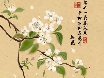 每到春天,看到梨花盛开,就觉得那一片洁白特别治愈,就想着把这份春日限定的美好用画笔记录下来。有和我一样绘画软件的宝子快学起来吧,绘画设备:华为matepadPro12.2,绘画软件:天生会画,用的笔刷都是软件自带笔刷,花瓣和叶子是墨迹笔刷,树枝是洇墨线条#手绘教程 #零基础学画画 #跟着抖音学画画 #平板绘画 #绘画练习