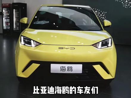 比亚迪海鸥如何解锁一键升窗#比亚迪海鸥 #比亚迪