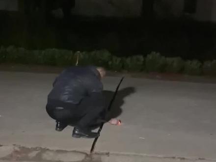 我弟说一秒都不用剪 #新年 #大年初一 #水母烟花 #一秒都不用剪