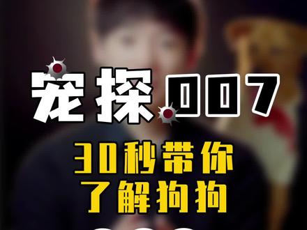 狗天生不会摇尾巴?30秒带你重新认识狗狗!@DOU+小助手 #狗狗 #萌宠出道计划 #萌宠 #狗