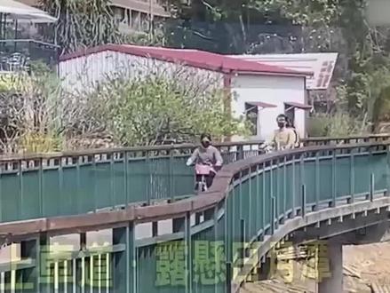 台湾日月潭再度缺水,露出潭底九蛙叠像