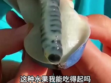 这些水果你们都吃过吗?#水果 #特产水果 #新鲜应季水果 #好吃到停不下来