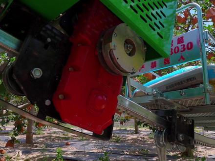 静宁:轨道铺进果园 苹果也能坐“火车!#静宁苹果 #静宁果农 #厚道甘肃 (摄制:魏娜 吴玺 胡继万)