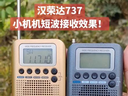 麻雀虽小,五脏俱全。