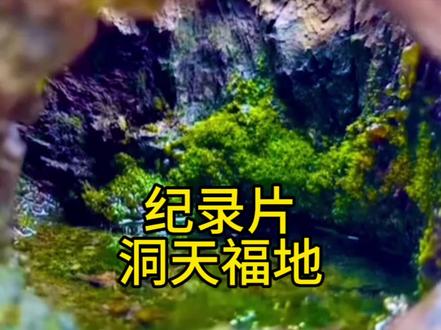 外表是戈壁枯木,似已生机断绝,内里却藏着碧树青潭,宛如福地洞天