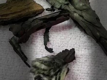 教你紫草的使用方法。有的人直接把紫草放辣椒面里,这样不仅会影响辣椒油的味道,还会影响口感#紫草#红油