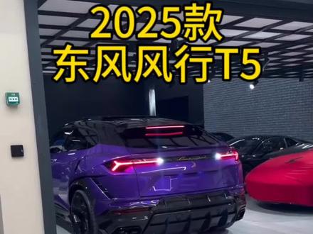 2025款东风风行T5evi最新落地价已出#东风风行t5 #dou是好车 #抖音汽车 #每天推荐好车 #东风风行