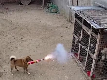 12月23日社会热点信息差 #热点 #热点新闻事件