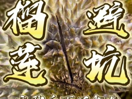 外壳发黑变霉的榴莲可以买吗?对里面的肉有没有影响?#榴莲爱好者 #榴莲 #榴莲控 #榴莲盲盒