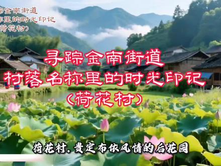 荷花村布依风情的后花园
坐落于贵定县城西面的荷花村,是一个布依族聚居的村寨。村中那口“九湾坡脚的凉井”,清冽甘甜,曾滋养着一代代县城居民,如今仍静静流淌在村民的记忆里。这里森林葱郁,生态优越,在美丽乡村建设的浪潮中,蜕变为集民族文化与生态观光于一体的“贵定县城后花园”,展现出蓬勃的生机与独特的魅力。
一、村名嬗变
荷花村位于贵定县城西面,全村面积约6平方公里,东、西与盘江镇、洛北河乡接壤,北面湘黔铁路、以前有黔桂铁路穿行而过。全村约有7个村民小组,400余户,人口约1600-2100人,其中布依族村民占90%以上,是一个民族文化浓厚的村寨。
荷花村的历史沿革清晰可溯,始于解放初期。彼时,荷花村属新场区;1958年,人民公社化运动中,归属城郊公社,称为“铜宝大队”;1962年,更名为“荷花大队”;1984年,政社分开,恢复“荷花村”之名,隶属城关镇;直至2014年,随着乡镇行政区划调整,荷花村正式划归金南街道,隶属至今。二、历史根脉
荷花村的历史虽不如古城般悠久,但其根脉深植于这片肥沃的土地和淳朴的布依族文化之中。在解放初期至改革开放前的漫长岁月里,荷花村是一个典型的农业村落,村民世代以耕作为生,过着日出而作、日落而息的田园生活。村口的凉井水,不仅是生活之源,更是村民们交流情感、维系乡情的纽带,见证了村庄的点滴变迁与代代传承。
三、生态新篇
进入新时代,荷花村迎来了前所未有的发展机遇。自2015年起,在“四在农家·美丽乡村”和“一事一议”项目的支持下,荷花村的面貌焕然一新。村里建起了露天广场、布依文化长廊、戏台和观赏亭,基础设施的完善极大地提升了村民的生活品质。
依托毗邻甘溪国家森林公园的地理优势,荷花村着力打造荷花生态园,推动农文旅深度融合。村里发展了茶叶、山桐子、生姜套种、鱼菜共生等特色农业产业,不仅盘活了土地资源,更带动了村民就业增收,走出了一条生态优先、绿色发展的振兴之路。
四、民风传承
作为布依族聚居村寨,荷花村保留了浓郁的民族风情。在美丽乡村建设中,布依族的文化元素被巧妙地融入到村庄的每一个角落,无论是长廊上的图腾,还是戏台上的歌舞,都彰显着独特的文化自信。布依族的传统节日、歌舞和手工艺在这里得到较好的传承,成为吸引外来游客、展示地方魅力的重要载体。
五、工商贸易