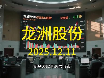 12月11日 龙洲股份