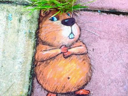 #起猛了看见有人遛卡皮巴拉 卡皮巴拉,间接性踌躇满志,持续性混吃等si,动物界的佛系交际花#卡皮巴拉 #水豚 #手绘 #色粉画