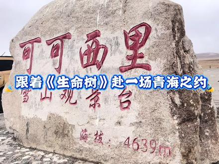 《生命树》里的高原,是坚守,是希望;现实中的青海,是治愈,是自由。那棵扎根戈壁的生命树,藏着青海最动人的生命力。
这个春天/夏天,跟着荧幕里的风景,跟着生命树,赴一场青海之约。把所有的疲惫与烦恼,都丢在盐湖的风里、雪山的云间。#旅行攻略 #自驾游青海 #跟着生命树看青海 #旅行让我看不一样的世界